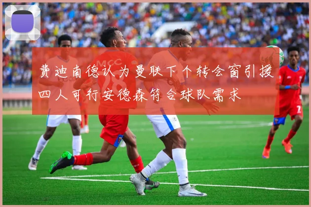 费迪南德认为曼联下个转会窗引援四人可行安德森符合球队需求